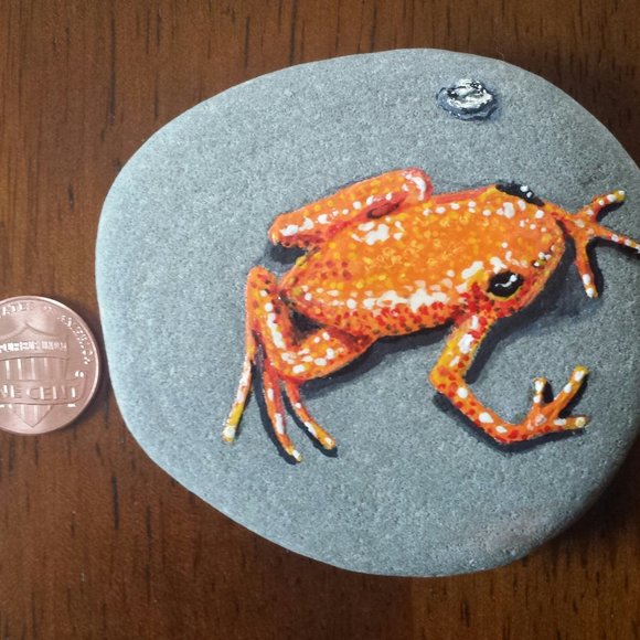 Frog - Picture 2 of 2